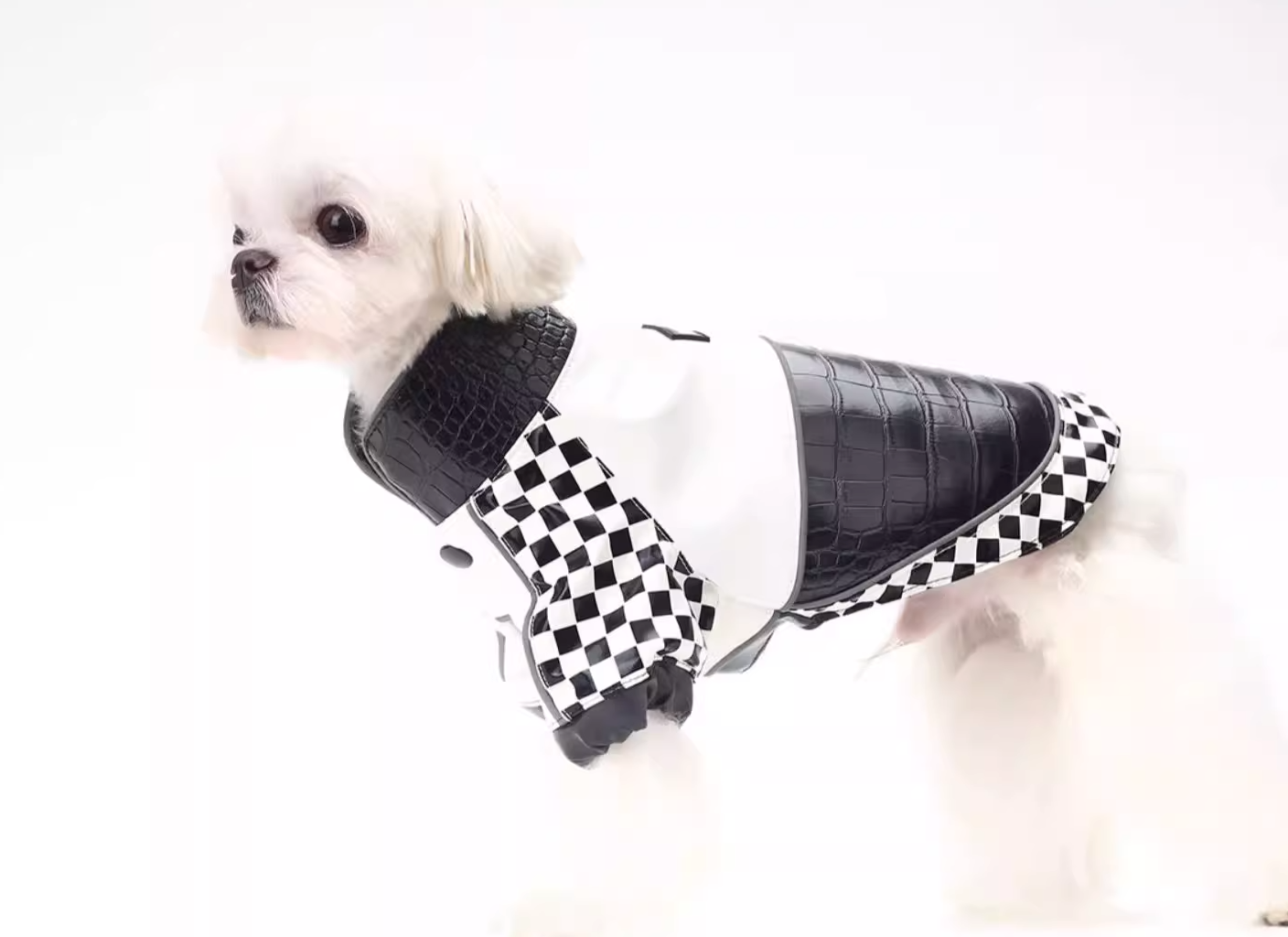 BITEONE Japanese Pet Workwear: Fall/Winter Combo