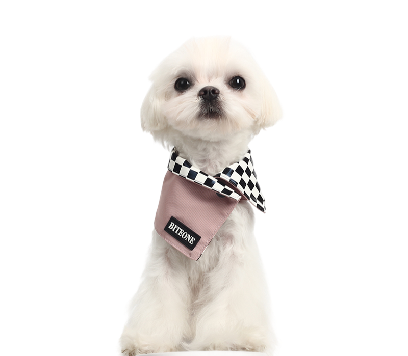 Chuan Xing Pet Bandanas