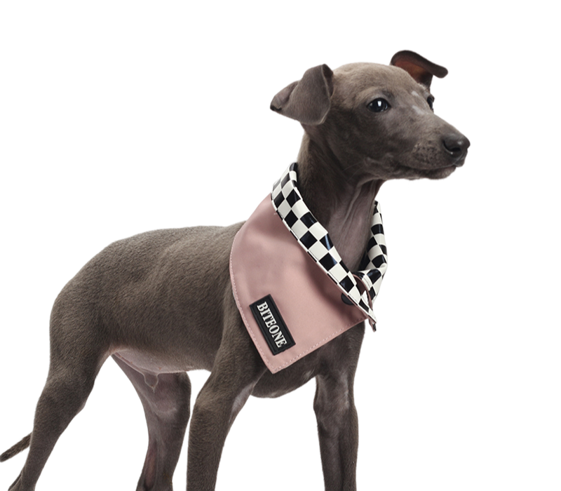 Chuan Xing Pet Bandanas