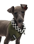 Chuan Xing Pet Bandanas