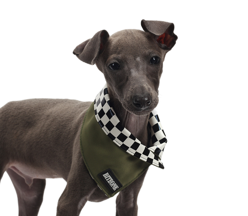 Chuan Xing Pet Bandanas