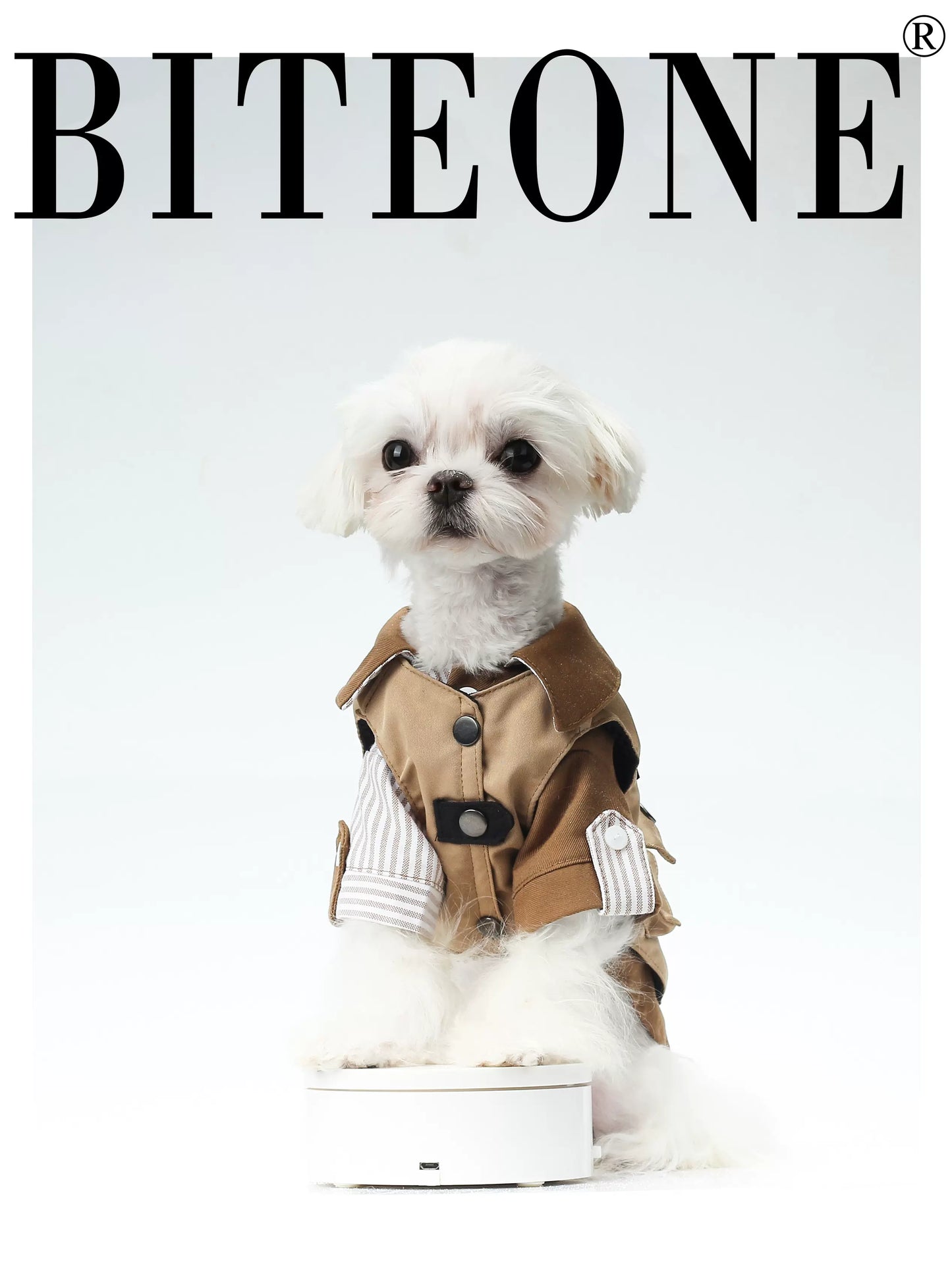 BITEONE Japanese-Inspired Pet Workwear: Fall/Winter Shirt + Vest Combo