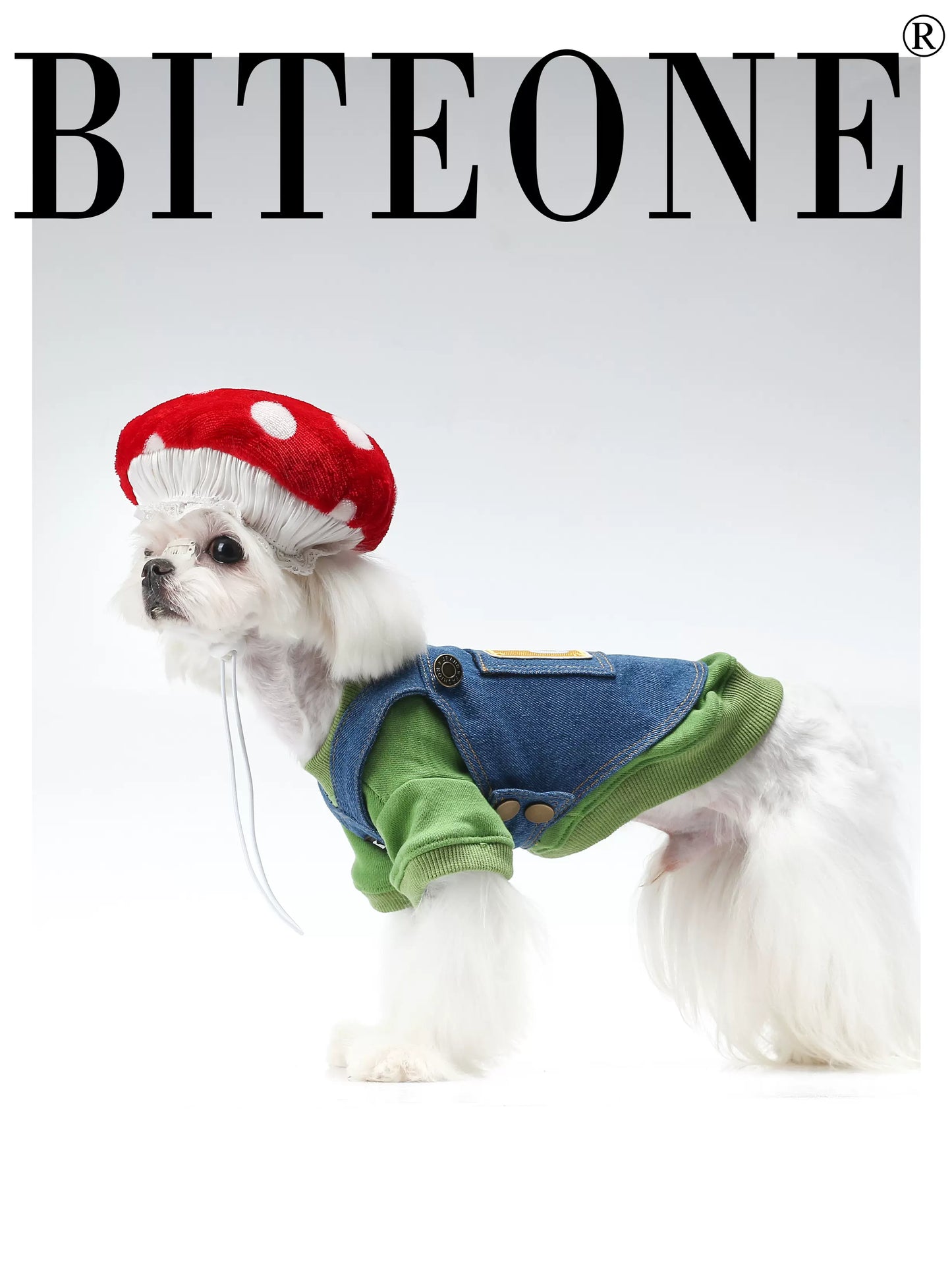 BITEONE: Gaming Fun - Sudadera con capucha de algodón de 320 g, peto vaquero y sombrero tipo hongo para mascotas