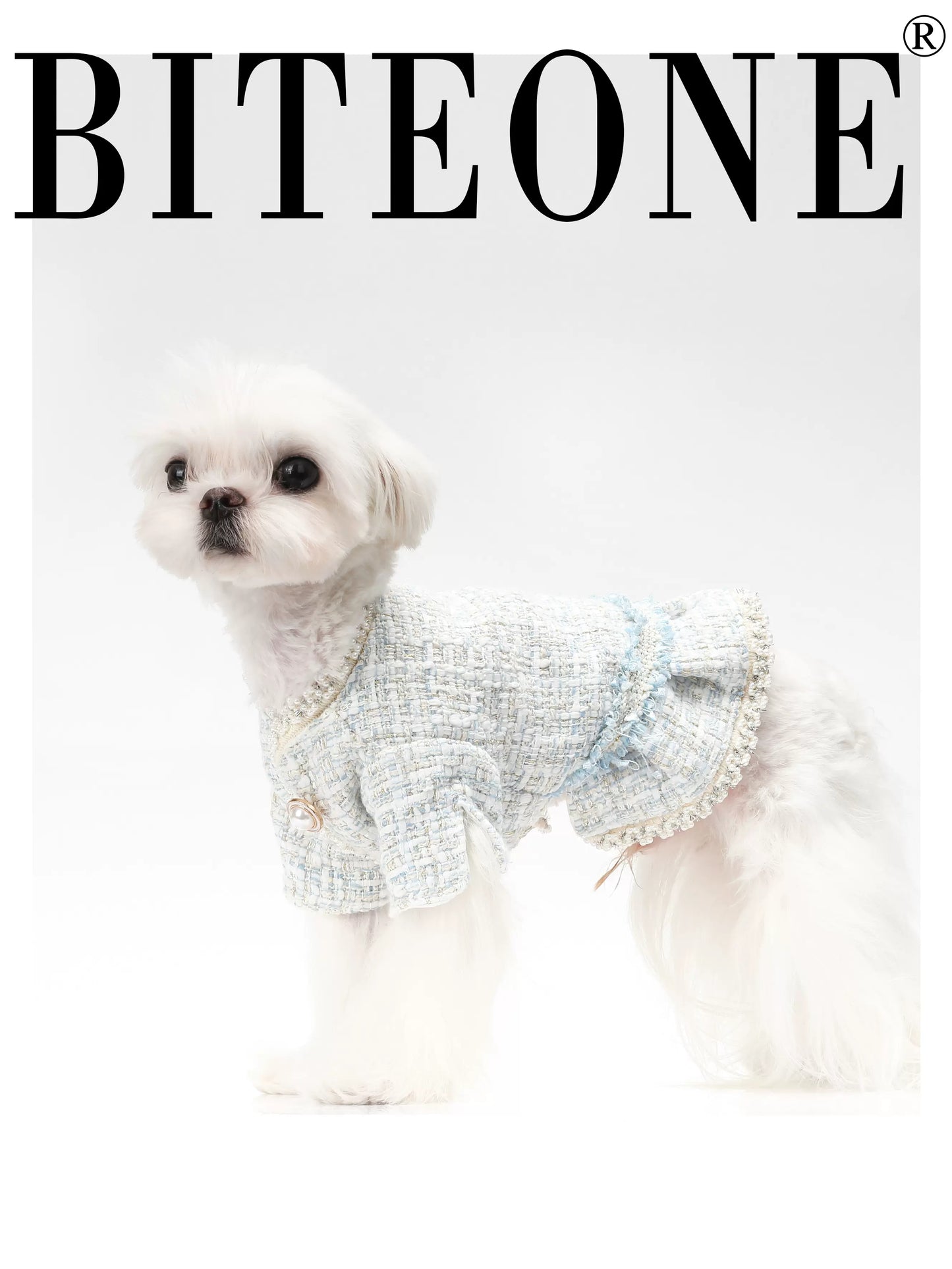 BITEONE: Chic Winter Pet Apparel with Combed Cotton Lining + Textured Wool