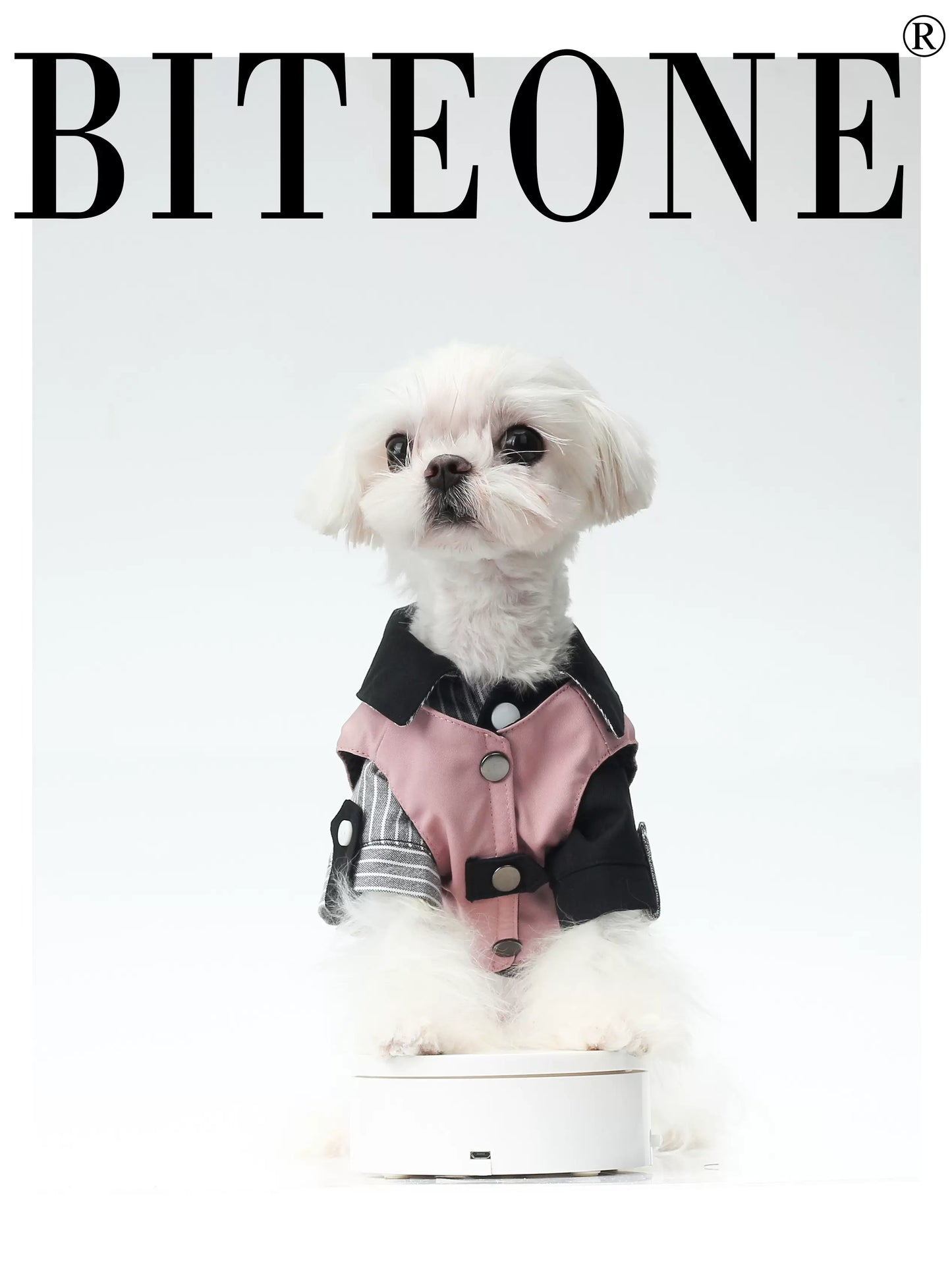 BITEONE Japanese-Inspired Pet Workwear: Fall/Winter Shirt + Vest Combo