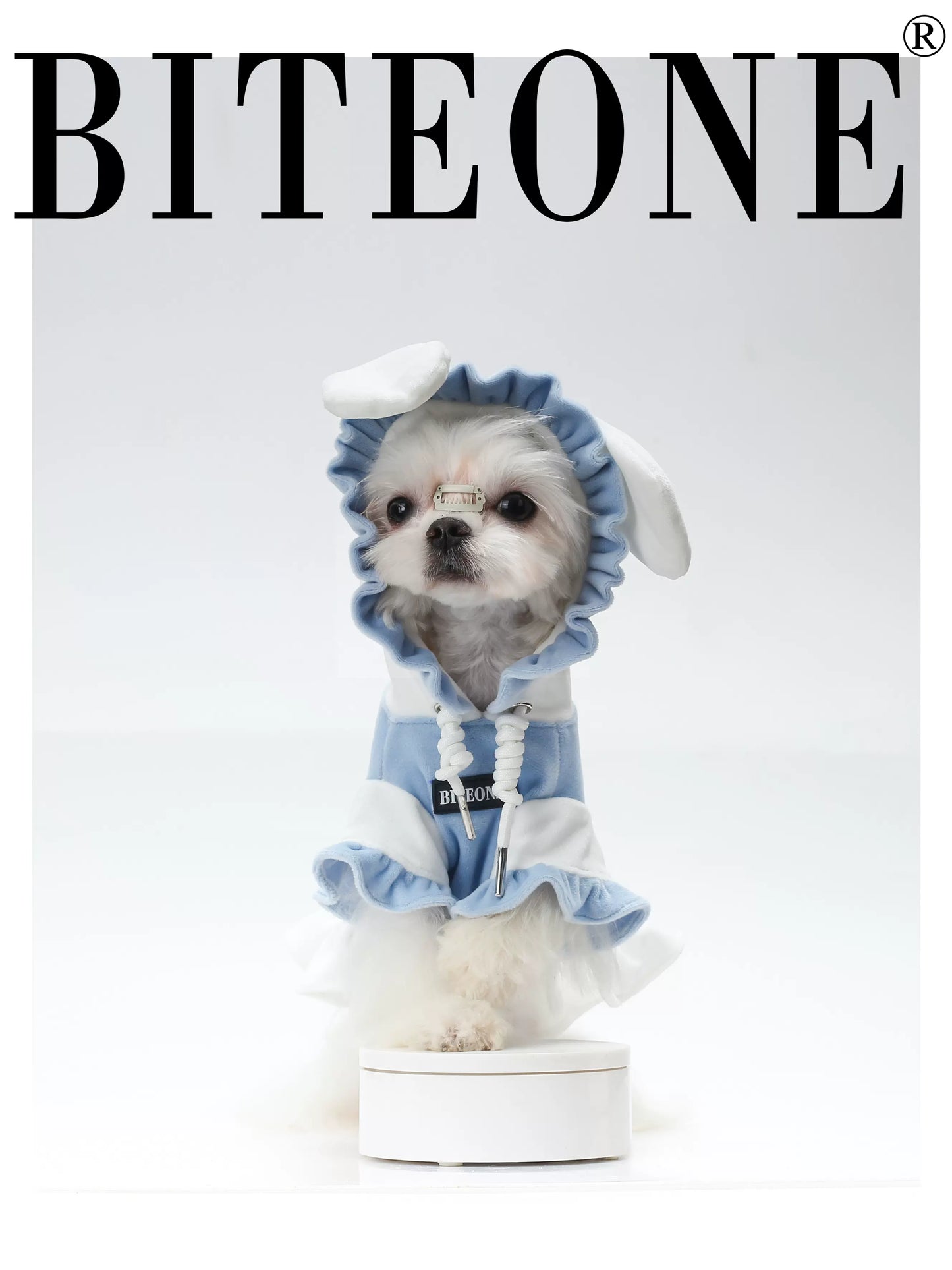 BITEONE: Cozy Pet Homewear - Silver Fox Velvet & Cinnamon Theme